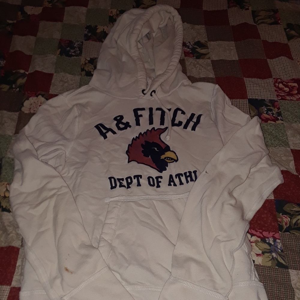 Abercrombie and Fitch Hoodie